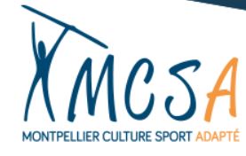 Logo MCSA
