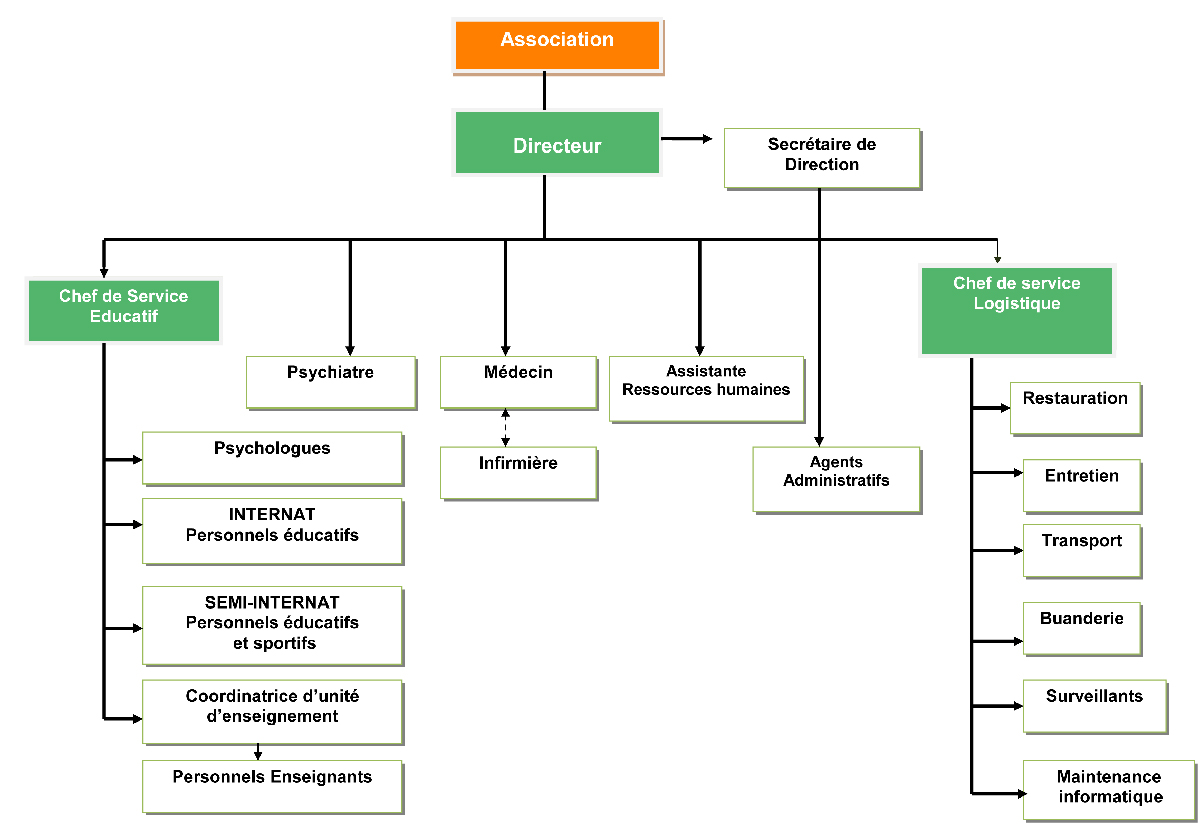 Organigramme