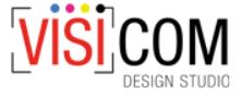 Logo VisiCom